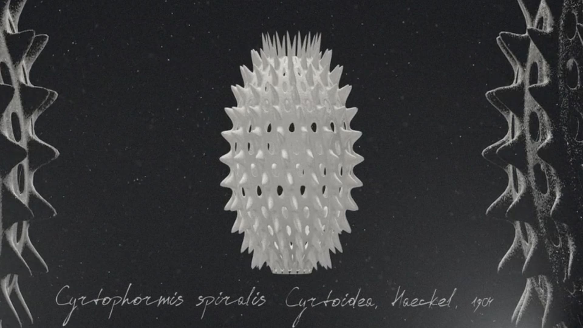 Far Beneath the Seashore